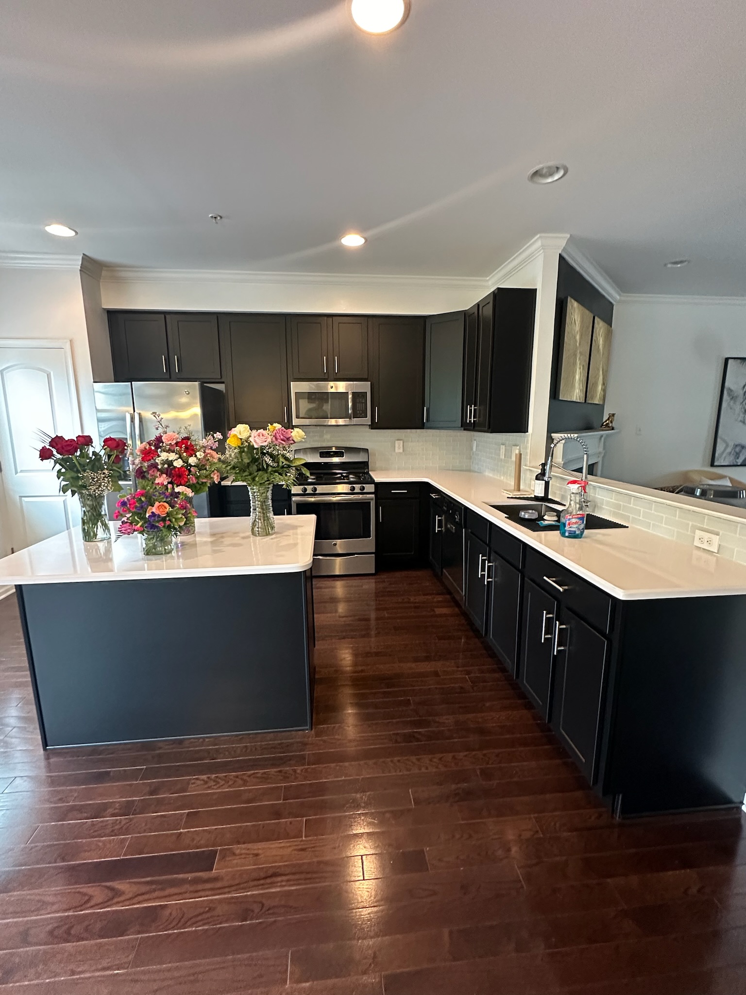 Kitchen Cabinet Painting