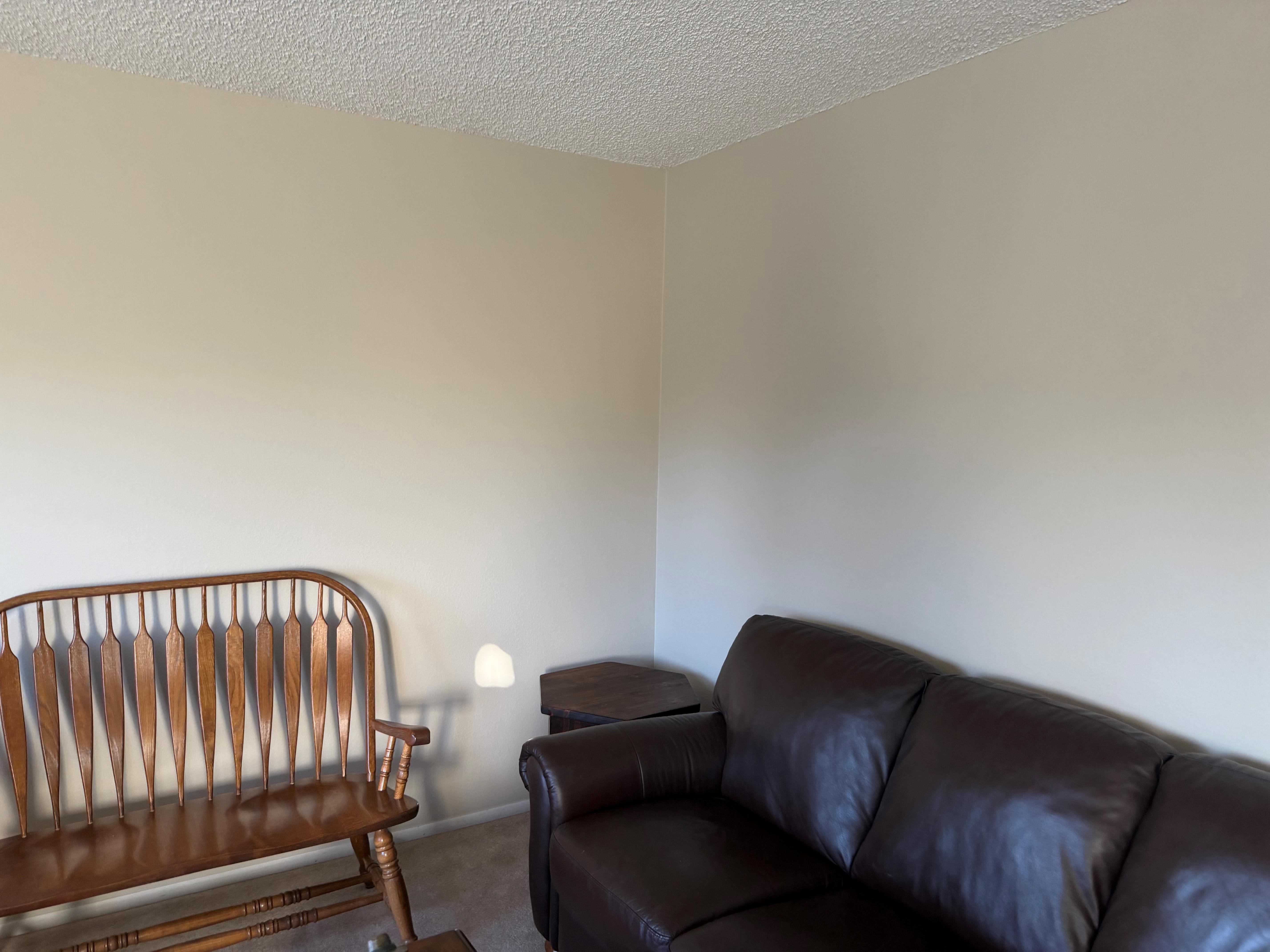 Living Room Painting