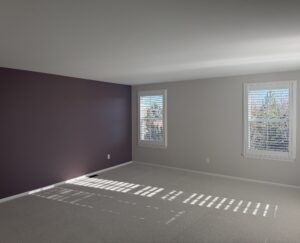 Professional Bedroom Painting