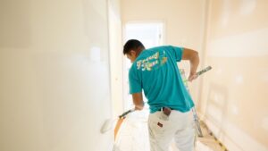 Professional House Painters CO