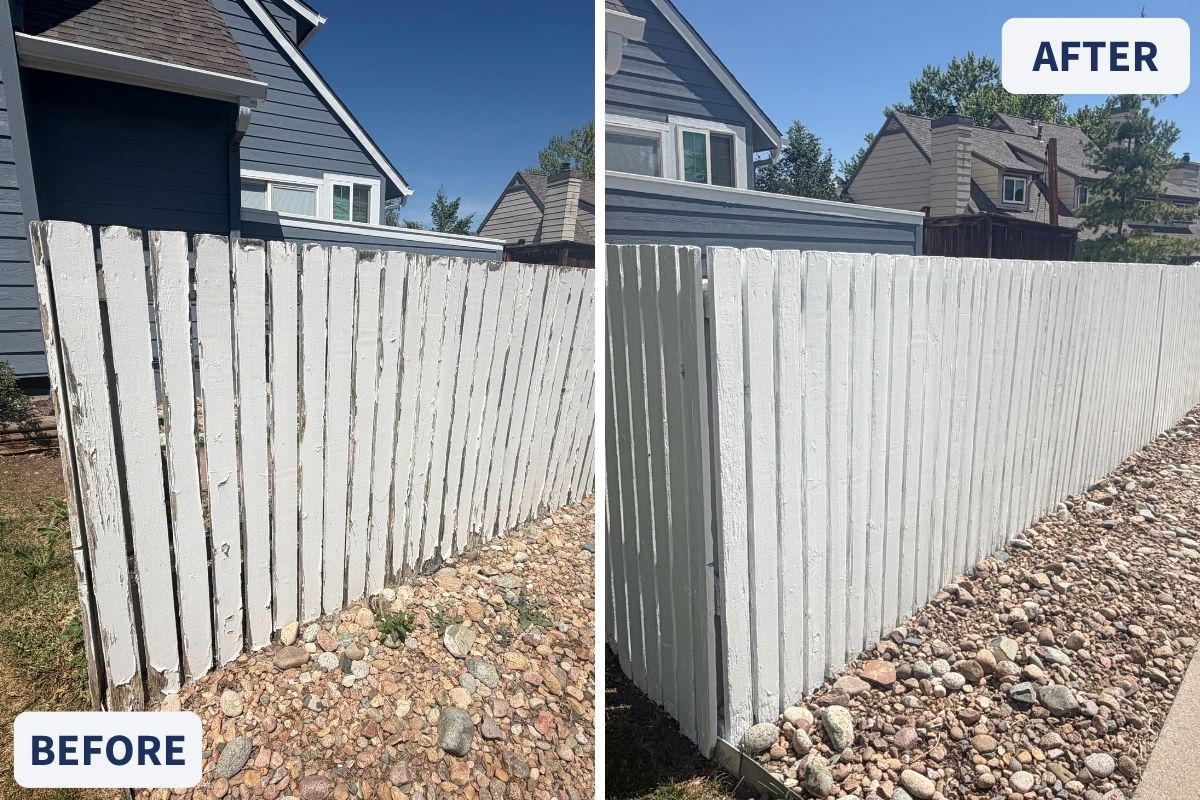 Fence After Painting Littleton, CO