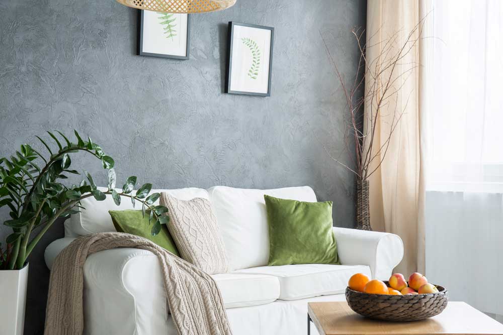 Roman Clay Paint walls interior painting service Old City Philadelphia