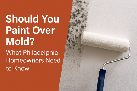 Painting Over Mold Effectiveness